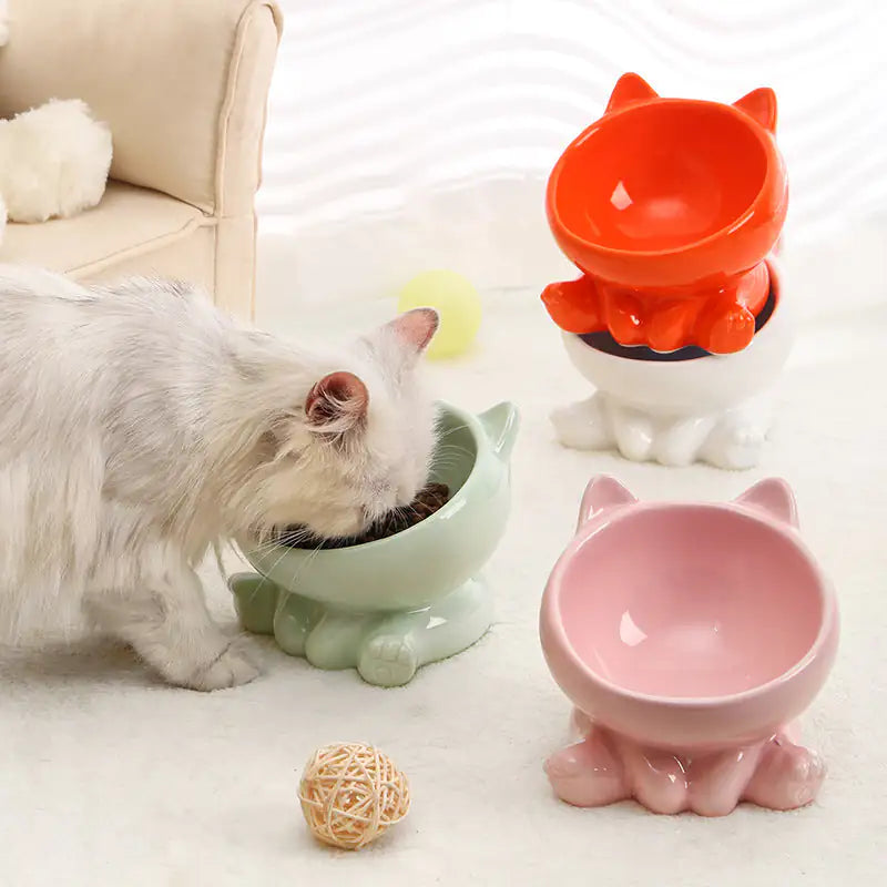 Ergonomic Ceramic Pet Bowl